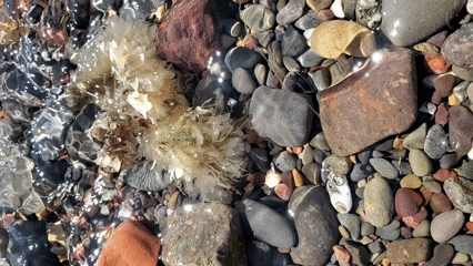 Petit objet flottant